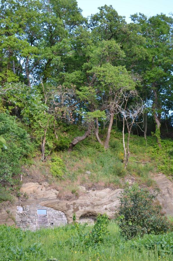 Apartament Casa Sorgente Montefiascone Zewnętrze zdjęcie
