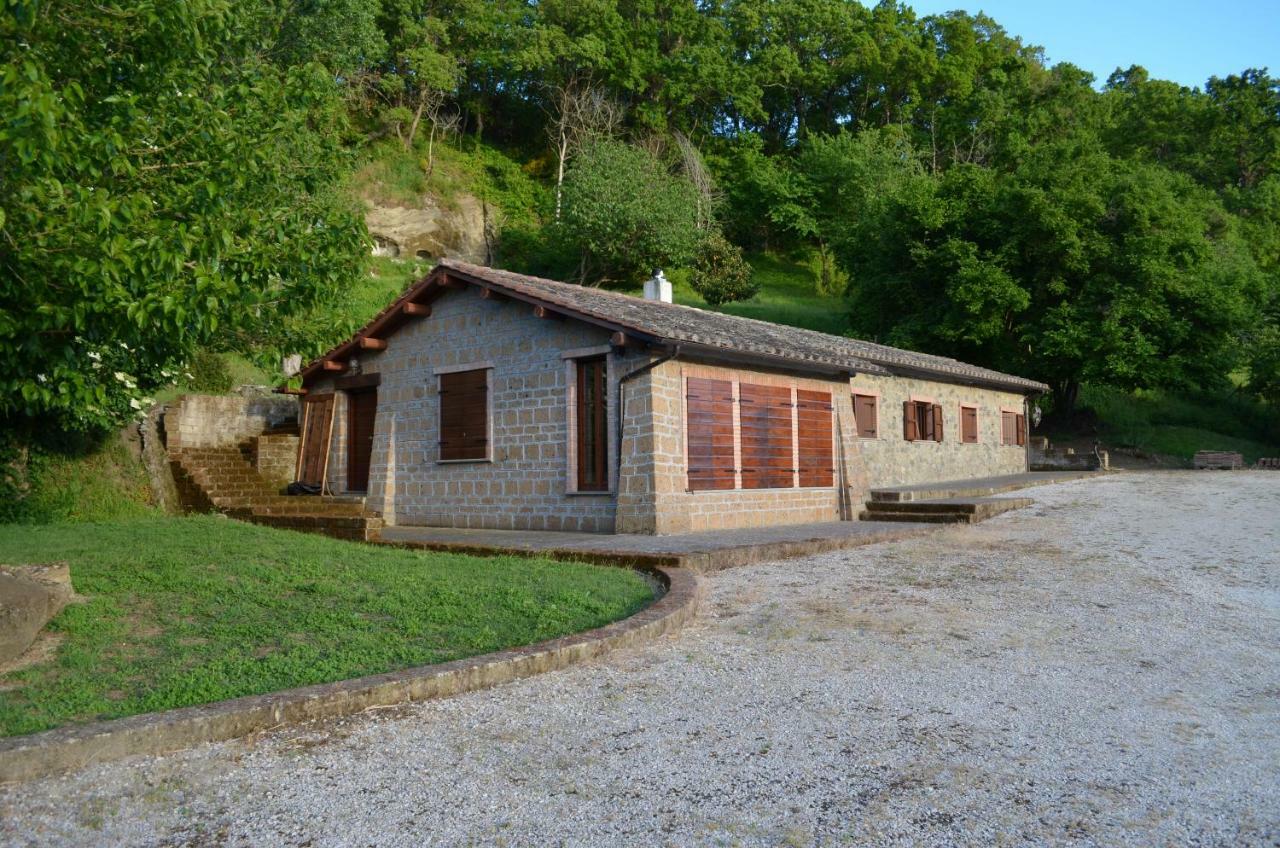 Apartament Casa Sorgente Montefiascone Zewnętrze zdjęcie
