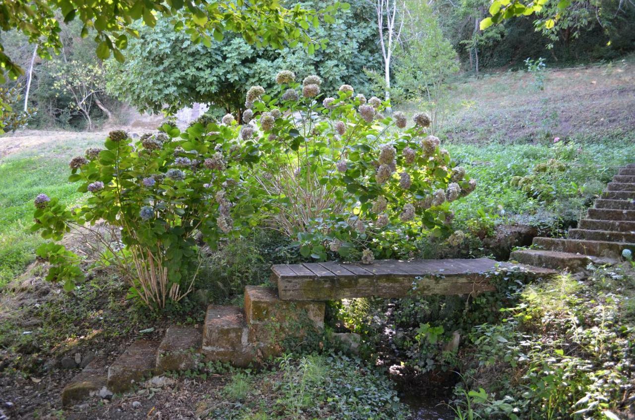 Apartament Casa Sorgente Montefiascone Zewnętrze zdjęcie